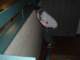 photo16_small.jpg