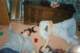 photo34_small.jpg